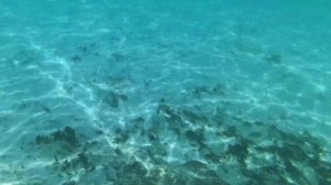 Malediven 2023 - Oblu XPerience Ailafushi - Traumurlaub