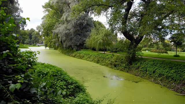 Убегающий август. Таврический сад. смотреть онлайн