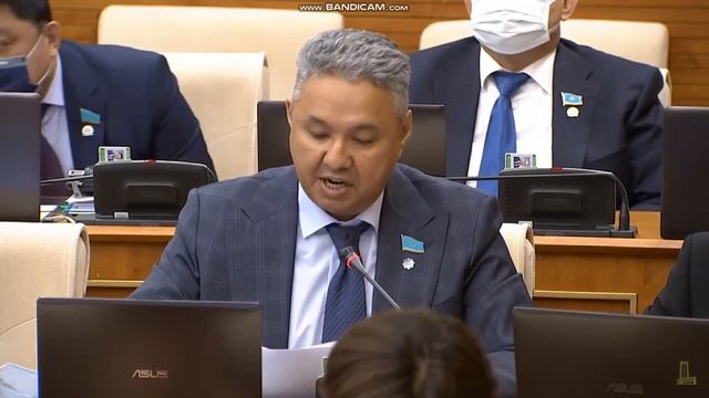 Азат Перуашев о введении кредитных и налоговых каникул для пострадавшего от коронакризиса МСБ