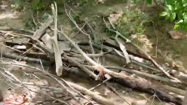 Вело путешествие #кавказ #алтай .Отдых в Самаре на Волге. смотреть онлайн