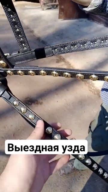Выездная узда для лошади с латунными украшениями #лошади #верховаяезда #уздечка смотреть онлайн