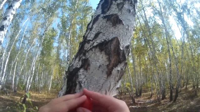 МЕНЯ ПОХИТИЛИ В ЛЕСУ?! ПРОДОЛЖЕНИЕ СЛЕДУЕТ! смотреть онлайн