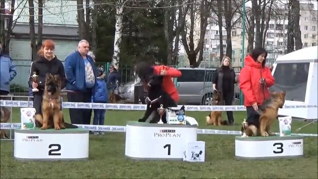 НО беби,щенки смотреть онлайн