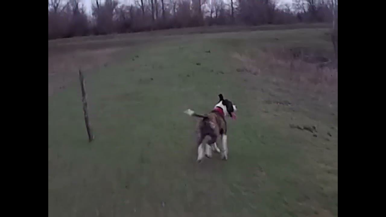 20.03.2025 ЧТО ДЕЛАТЬ? : ЛПХ В ОПАСНОСТИ смотреть онлайн