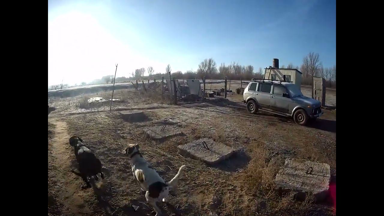 10.03.2025 ЧТО ДЕЛАТЬ? : ЛПХ В ОПАСНОСТИ смотреть онлайн