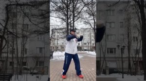 Ицюань (1356 день) Ченбао Чжуан и Няо Нань Фей / Удары кулаком / Взрывное усилие - Фали (28.04.25)