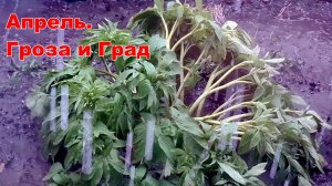 Апрель.Сибирь.Первая гроза с ГРАДОМ