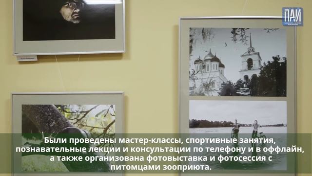 Фестиваль #СилаВместе