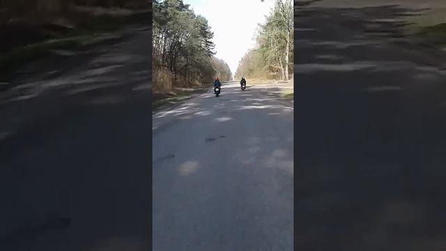 Покатушки на Білий Камінь...) смотреть онлайн