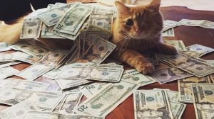 💲 ВЕТЕРАНКИ - Или же как легко зарабатывать миллионы | STALCRAFT