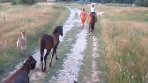 Ведруссия ч 2