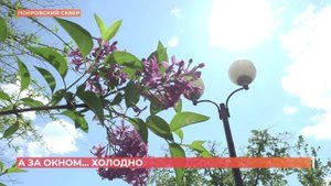 А за окном. 28 апреля 2025