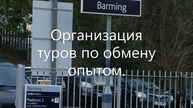 Британская благотворительная организация. Переводчик в Великобритании для благотворительных проекто