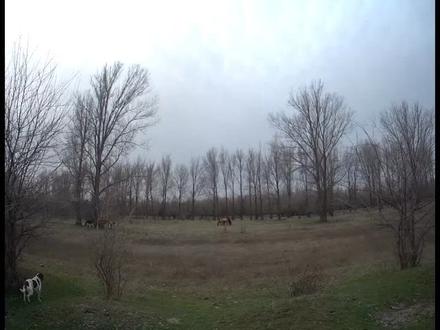 18.03.2025 карусель одного дня ЧТО ДЕЛАТЬ? : ЛПХ В ОПАСНОСТИ смотреть онлайн