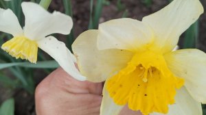 ВЛОГ ОБЫЧНЫЙ ДЕНЬ // Упаковка подарка// Утро шокировало