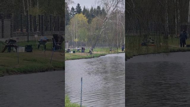 Поимки и сходы смотреть онлайн