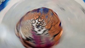 Shelee Bloom Tips | Acrylic Pouring for Beginners | Trial and Error