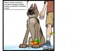 Пикси и Брут Анимация