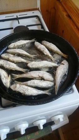 Жарим барабулю