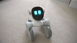 Робо-собака на колесах: Разговоры с ChatGPT 🐾🤖