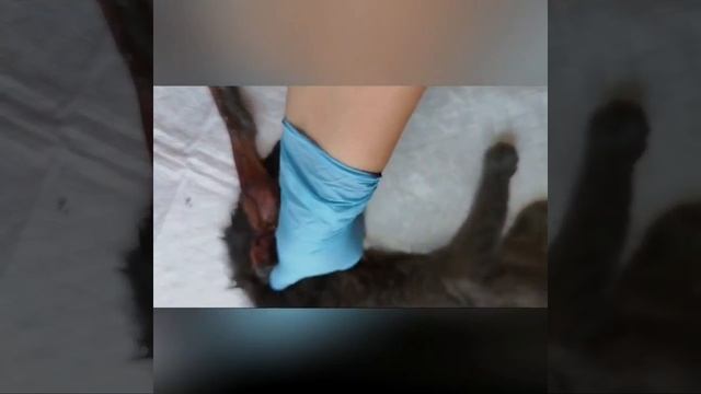 24 июля 2024 г.