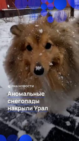 Аномальные снегопады накрыли Урал