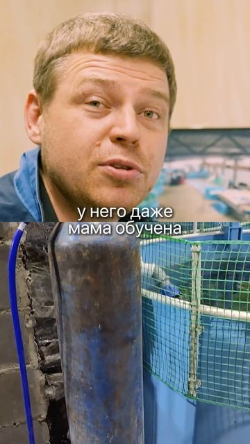 Закон ПОДЛОСТИ работает всегда! Реальная история на рыбной ферме.. #бизнес #рыбоводство #узв #ферма смотреть онлайн