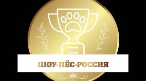 BEST Рейтинговой выставки "ГРАН ПРИ ПЕТЕРБУРГ-ЭЛИТА" КК "ЭЛИТА" 26.04.2025 г. Часть I.
