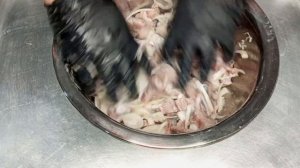 ТАЛА НЕ ТАЛА ИЗ СЕЛЬДИ