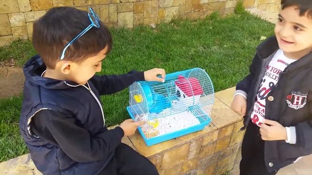 Семка и Снежок Добро пожаловать ;) смотреть онлайн