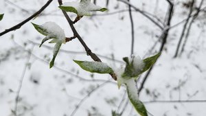 #апрель #весна #Урал