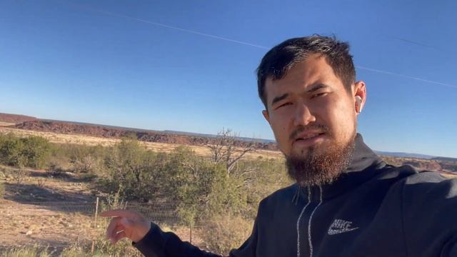 (Эпизод 28) Лизинг трака, цифровая выставка Ван-Гога, День Благодарения