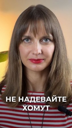 ХомУт или хОмут? Какой воротник выбрать⁉️
