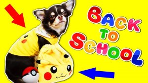 Канцелярская магия: кто подкинул Юми волшебные предметы? ✏️🧙♀️