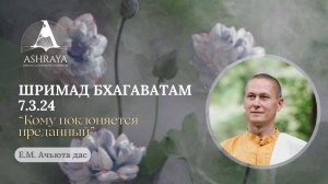 Кому поклоняется преданный. Ш.Б. 7.3.24.  Е. М. Ачьюта дас. 29.04.2025