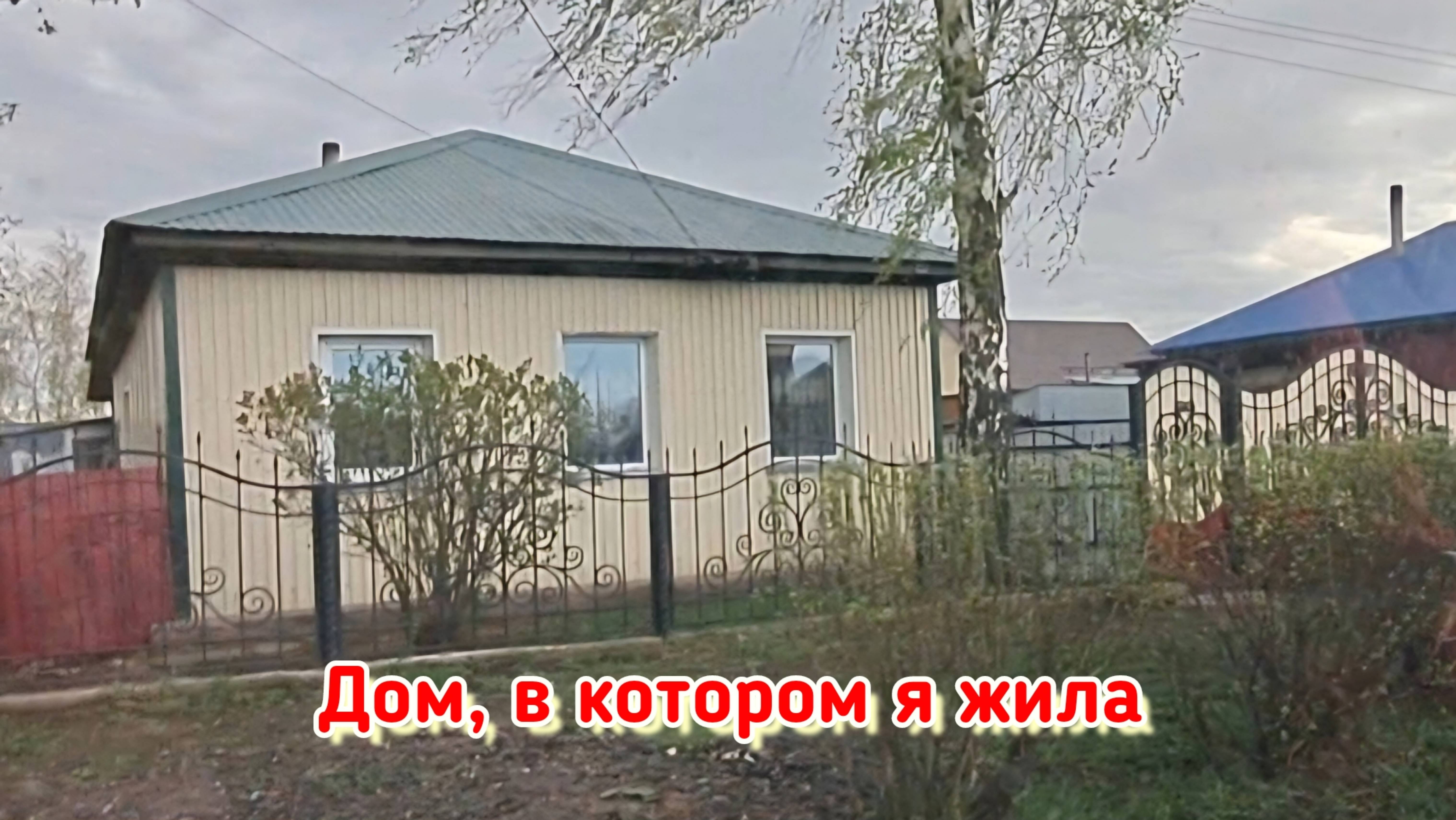 Мотались туды-сюды / В магазине чуть не лоханулись / Проверили дачу / Распаковка / Готовлю рыбу