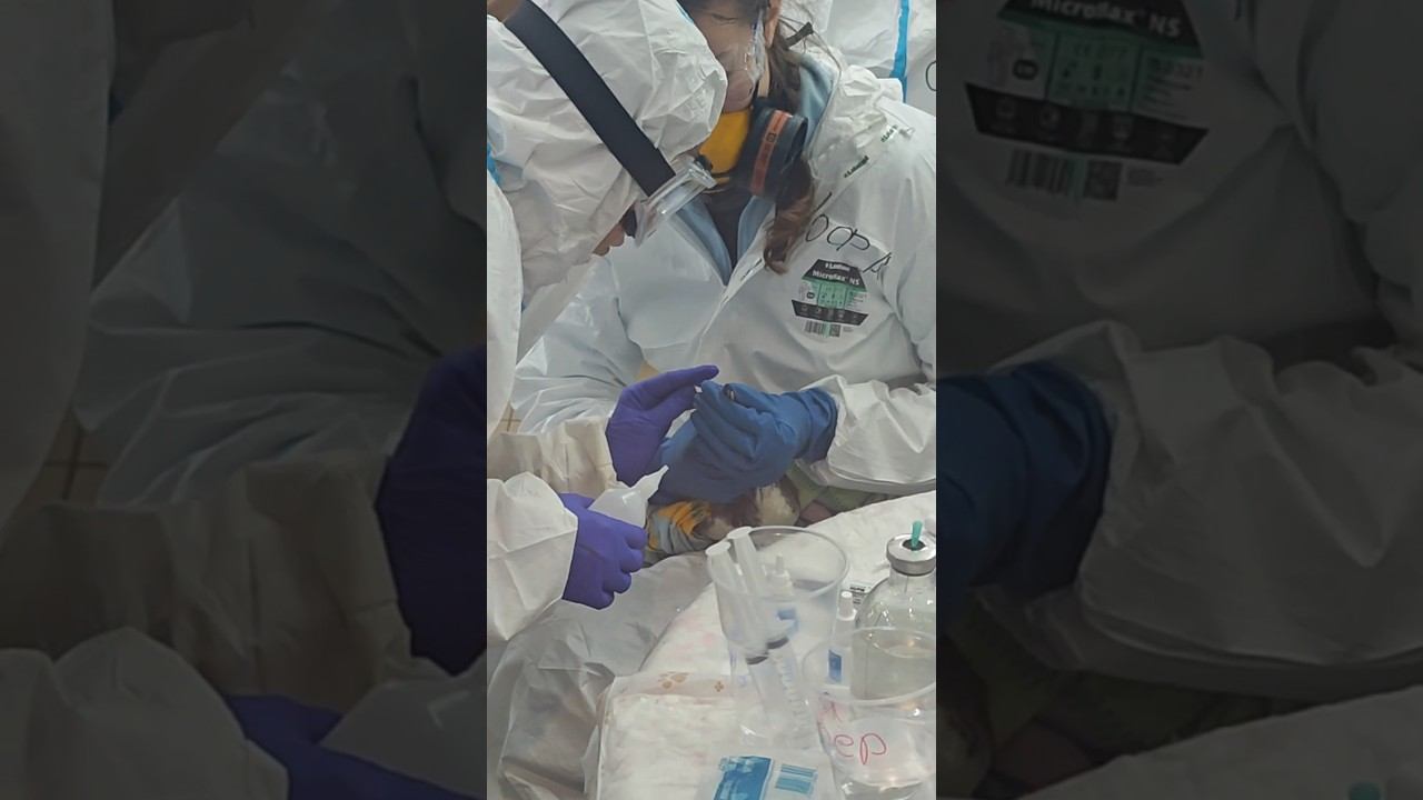 Спасите Чёрное море! спаситечерноеморе черноеморекатастрофа анапачп