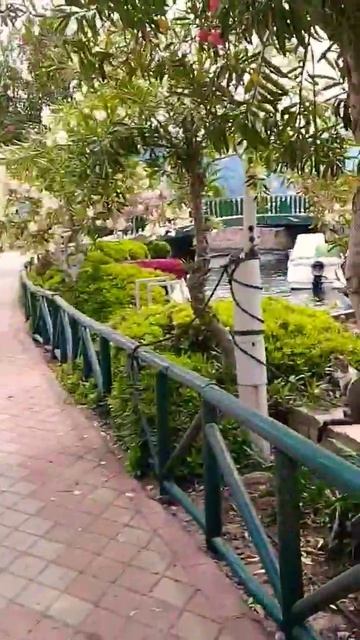 #влог #жизнь #отдых #путешествия #море #отпуск #болталка #турция #город #мир #велопрогулка смотреть онлайн