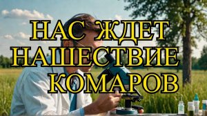 Биолог предупредил о возможном нашествии комаров в Центральной России!