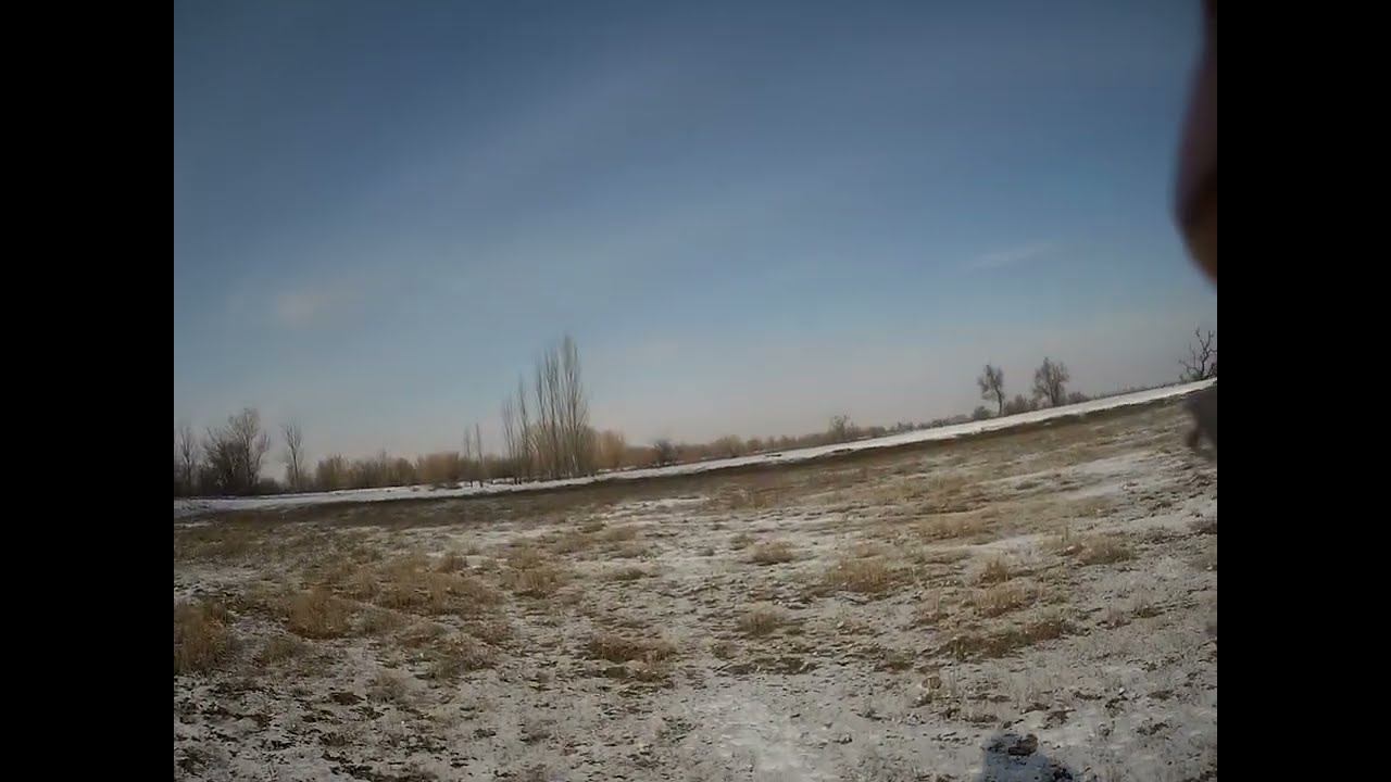 26.02.2025 ЧТО ДЕЛАТЬ? : ЛПХ В ОПАСНОСТИ смотреть онлайн