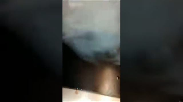 ХОЧЕШЬ ПАСТА ДЕ ЛЯ МАМА? WOULD YOU LIKE PASTA "DE LA MAMA"? смотреть онлайн