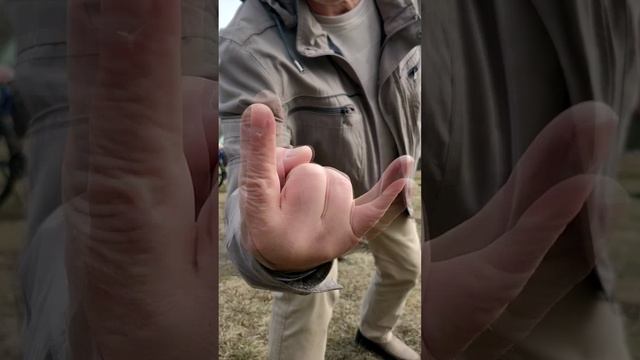 Велопрогулочка