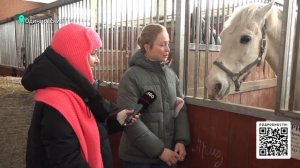 Московский конный завод №1 отметит 100-летний юбилей