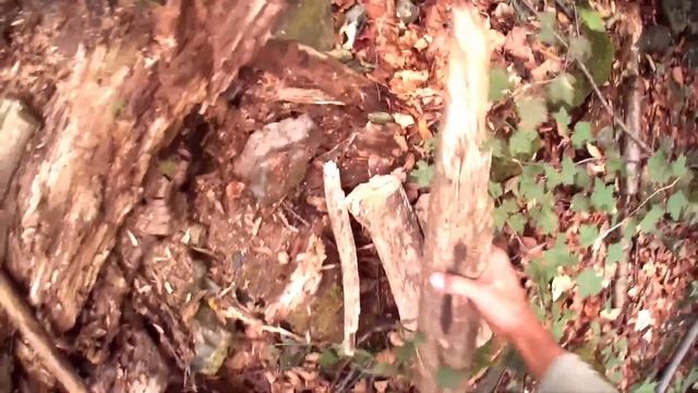 Тандыр в лесу своими руками. Жарю свиные ребра. смотреть онлайн