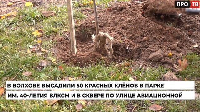 «Подсмотрено» от 19.10.2023
