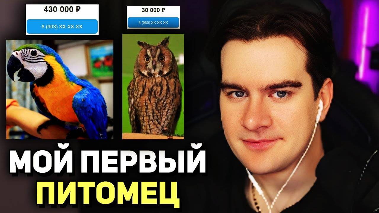 Братишкин ВЫБИРАЕТ ДОМАШНЕЕ ЖИВОТНОЕ