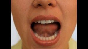 Артикуляционная Гимнастика -  Кошка