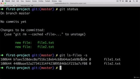 05. Creating first commit