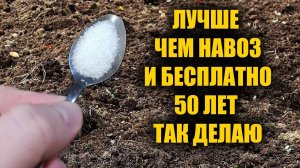 1 Ложка на ведро воды и земля вновь плодородная!