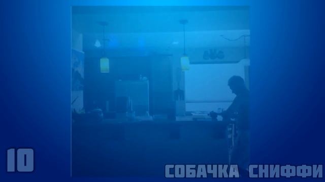 Найди кота 2 смотреть онлайн